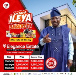 Elegance Estate Ibeju Lekki Land for Sale Ibeju Lekki Lagos Vetra  Property