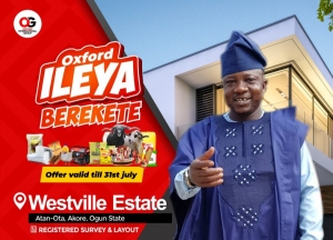 Plots Of Land  Land for Sale Ado Odo Ota Ogun Vetra  Property