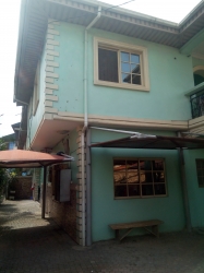 Image 1 Title