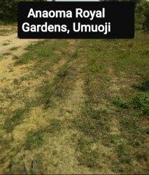 Land For Sale In Umuoji Anambra State Land for Sale Aguata Anambra Vetra  Property