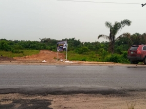 Image 1 Title