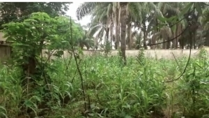 Full Fenced 1 Plot And Half With C Of O 2 Plots of Land for Sale Awka South Anambra Vetra  Property