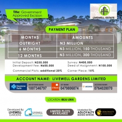 Image 1 Title