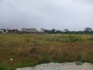 Image 1 Title