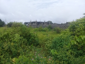 Image 1 Title