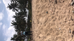 Image 1 Title