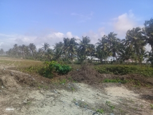 Image 1 Title