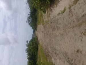 Image 1 Title
