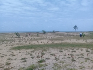 Image 1 Title