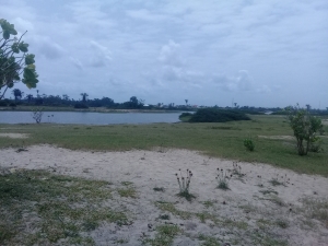 Image 1 Title
