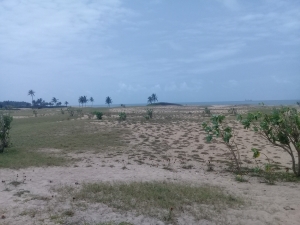 Image 1 Title