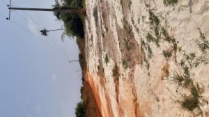 Image 1 Title