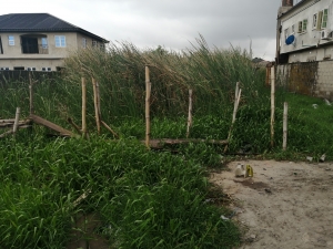 Land For Sale In Badore  Land for Sale Ajah Lagos Vetra  Property