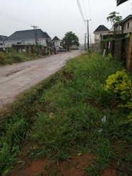 Image 1 Title