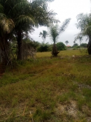 C Of O Land For Sale In Okun Ojeh Land for Sale Ibeju Lekki Lagos Vetra  Property