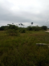 Land For Sale In Akwa  Land for Sale Awka North Anambra Vetra  Property