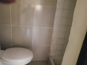 2bedroom Flat 2 bedroom Self Contain for Rent Lekki Lagos Vetra  Property