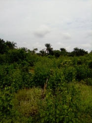 Image 1 Title