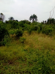 Image 1 Title