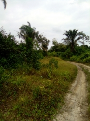 Image 1 Title