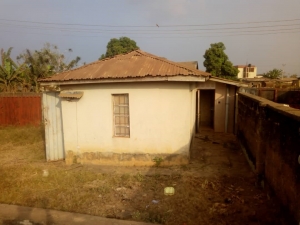 Image 1 Title