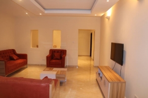 One Bedroom And Two Bedroom Apartments For Shortlet 2 bedroom Flat for Short let Lekki Lagos Vetra  Property