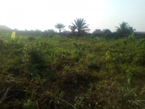 Four (4) Plots Of Land  Commercial Property for Sale Ado Odo Ota Ogun Vetra  Property