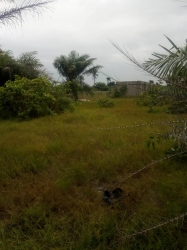 Land For Sale In Amuzam Land for Sale Enugu Enugu Vetra  Property