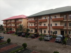 Image 1 Title