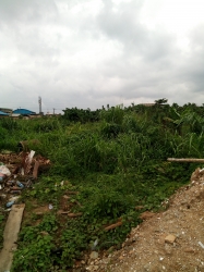 Image 1 Title