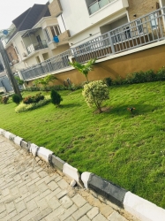 Image 1 Title