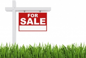 One Acres Of Land  1 Acres of Land for Sale Ibadan Oyo Vetra  Property