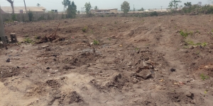 3 Plot Of Land At Ogba 3 Plots of Land for Sale Ogba Lagos Vetra  Property