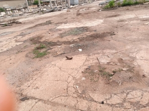 3.64 Hectares Of Land Located Directly On The Oba-akran Main Road 4 Hectare of Land for Sale Ikeja Lagos Vetra  Property