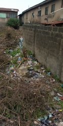 Image 1 Title