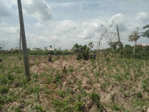 Two Plots Together On An Empty Land 2 Plots of Land for Sale Kosofe Ikosi Lagos Vetra  Property