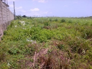 Image 1 Title