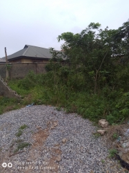 Distress Sales Of A Plot Of Land In Agbado Crossing With C Of O 4million Asking 1 Plot of Land for Sale Agege Lagos Vetra  Property