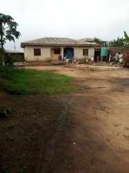 Image 1 Title