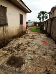 Image 1 Title