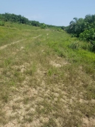 30 Plots Of Dry And Gazetted Land With Great Access Road At Ibeju Lekki Available For N21,000,000 Only  30 Plots of Land for Sale Ibeju Lekki Lagos Vetra  Property