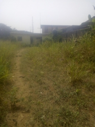 Image 1 Title