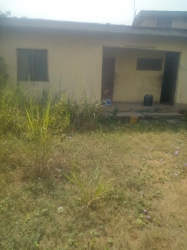 Image 1 Title