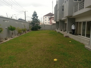 Image 1 Title