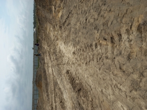 Image 1 Title