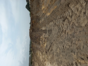 Image 1 Title