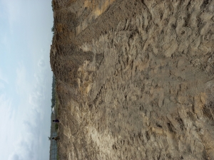 Image 1 Title