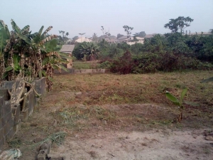 Image 1 Title