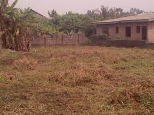 Image 1 Title