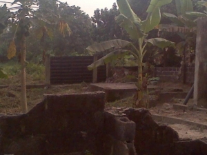 Image 1 Title